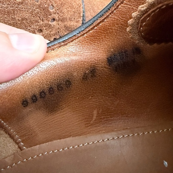 Antonio Maurizi Wingtip Suede Oxford, Brown main image 8
